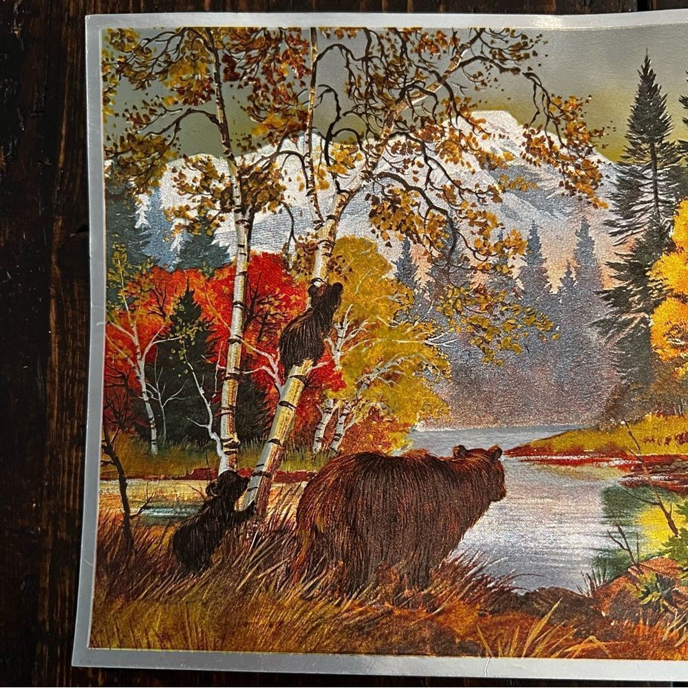 Dufex Prints “Grizzly Bear and Cubs” (Vintage) - Picture 2 of 4